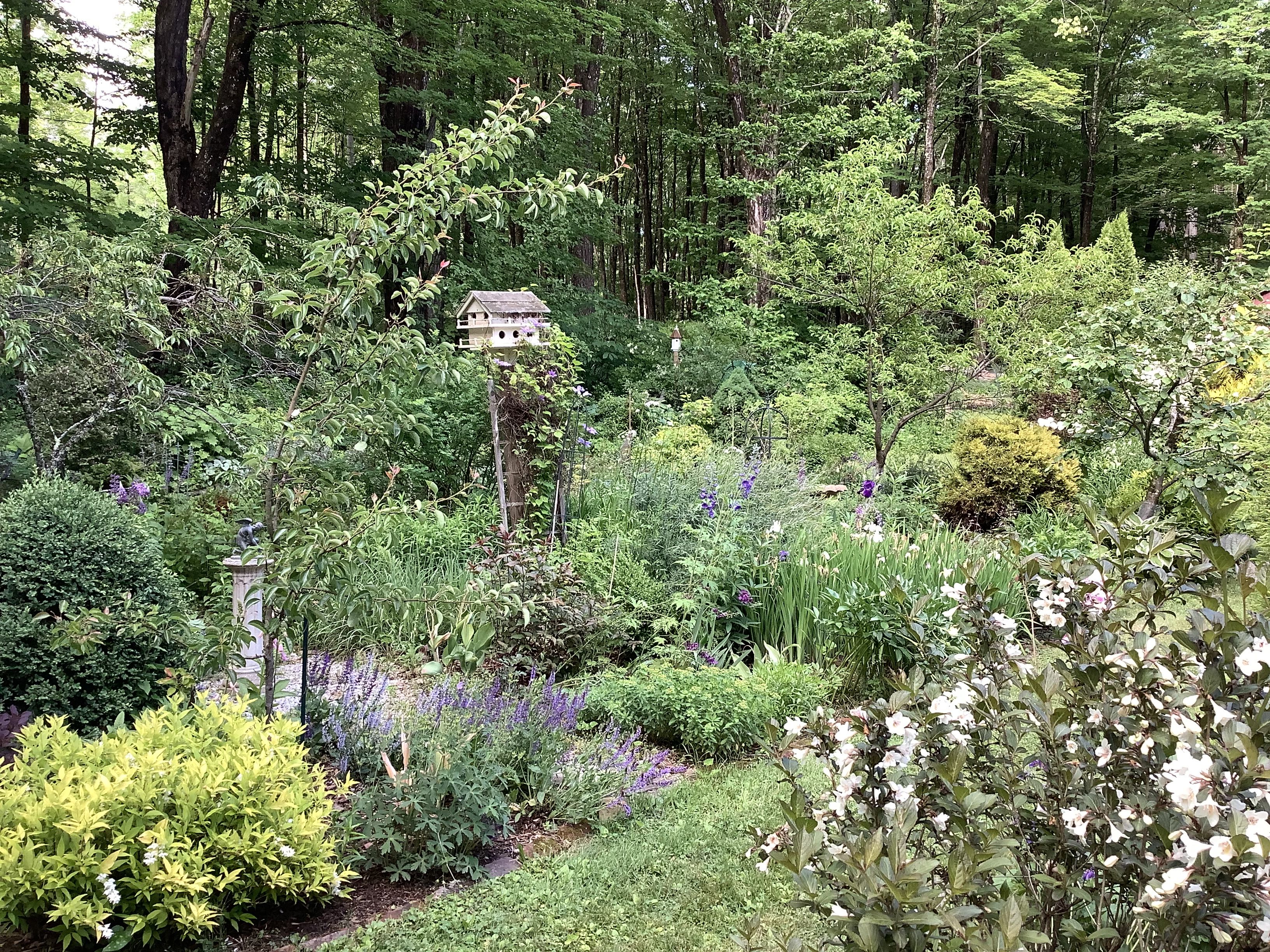 Photo or the artist Cindy Hendrick's summer garden