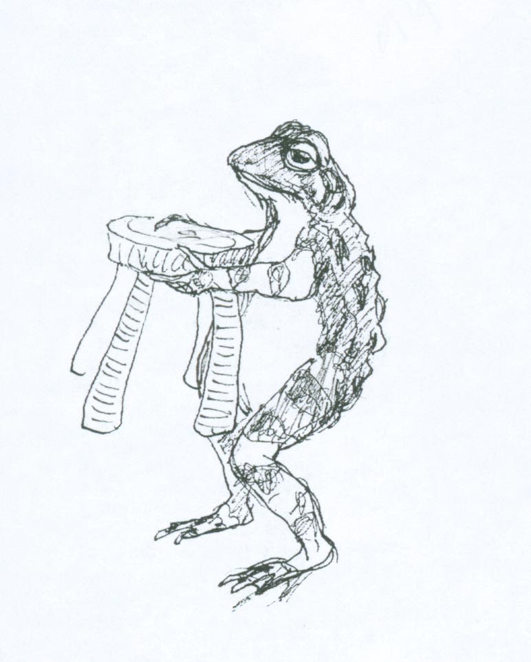 Sketch by Cindy Hendrick - understudy of toad