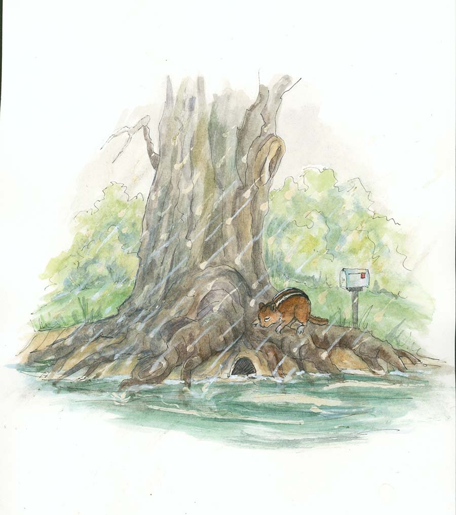 Illustration by Cindy Hendrick, Bernard the Builder Bear story